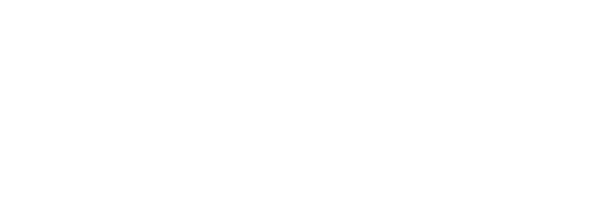 Bronze Sponsor