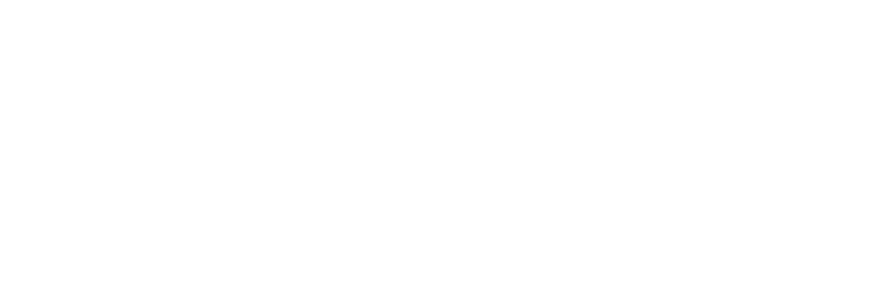 Bronze Sponsor
