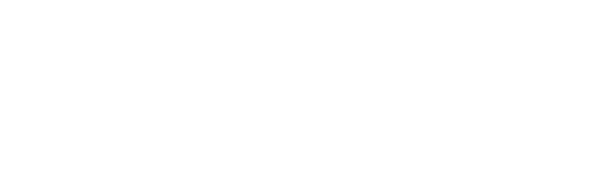 Silver Sponsor Logo