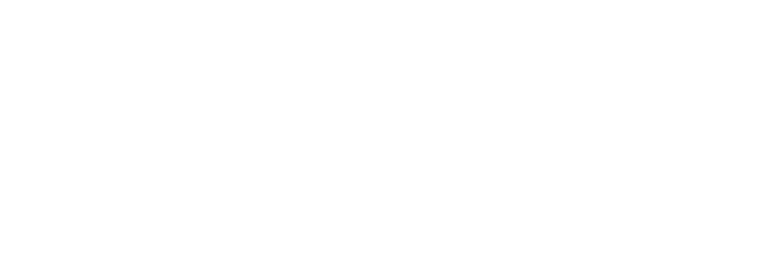 Bronze Sponsor